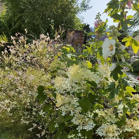 Sellina Διαμέρισμα *