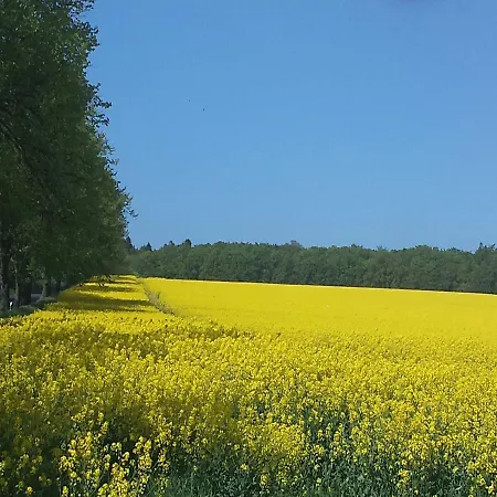 Sellina 公寓