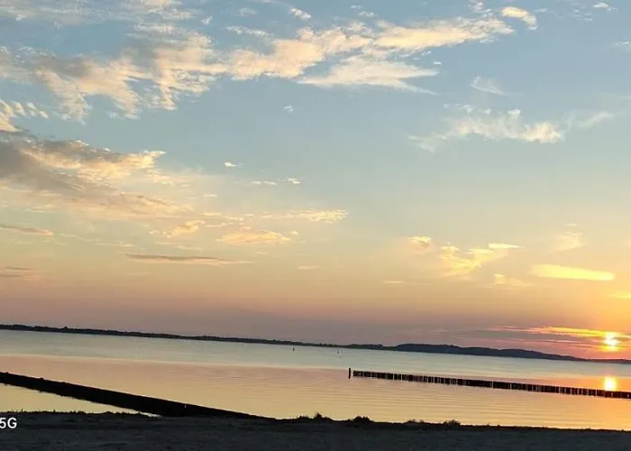 Sellina Sellin (Rugen)